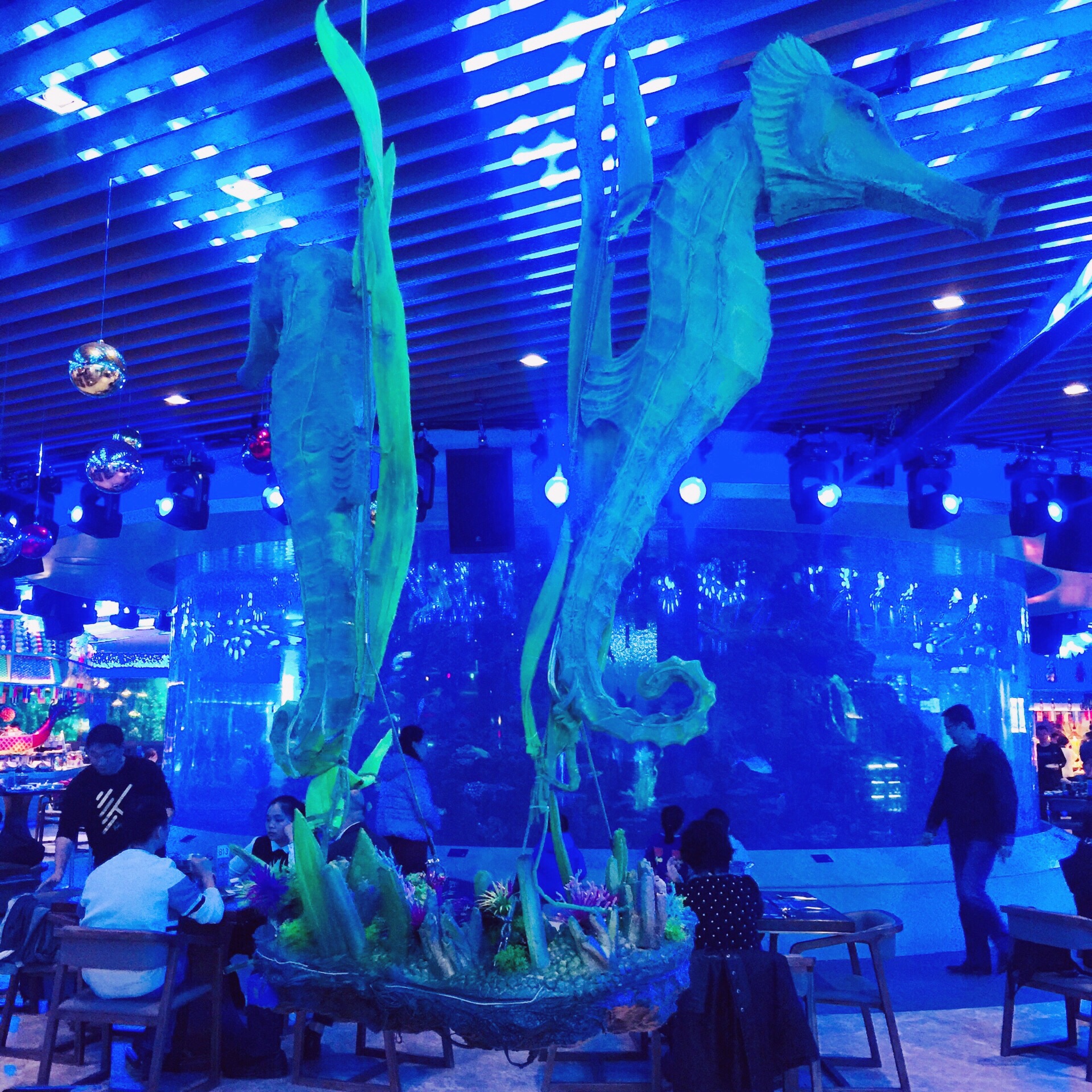 2023梵尔纳美人鱼自助餐厅美食餐厅.赏海底生物和美人鱼表演.