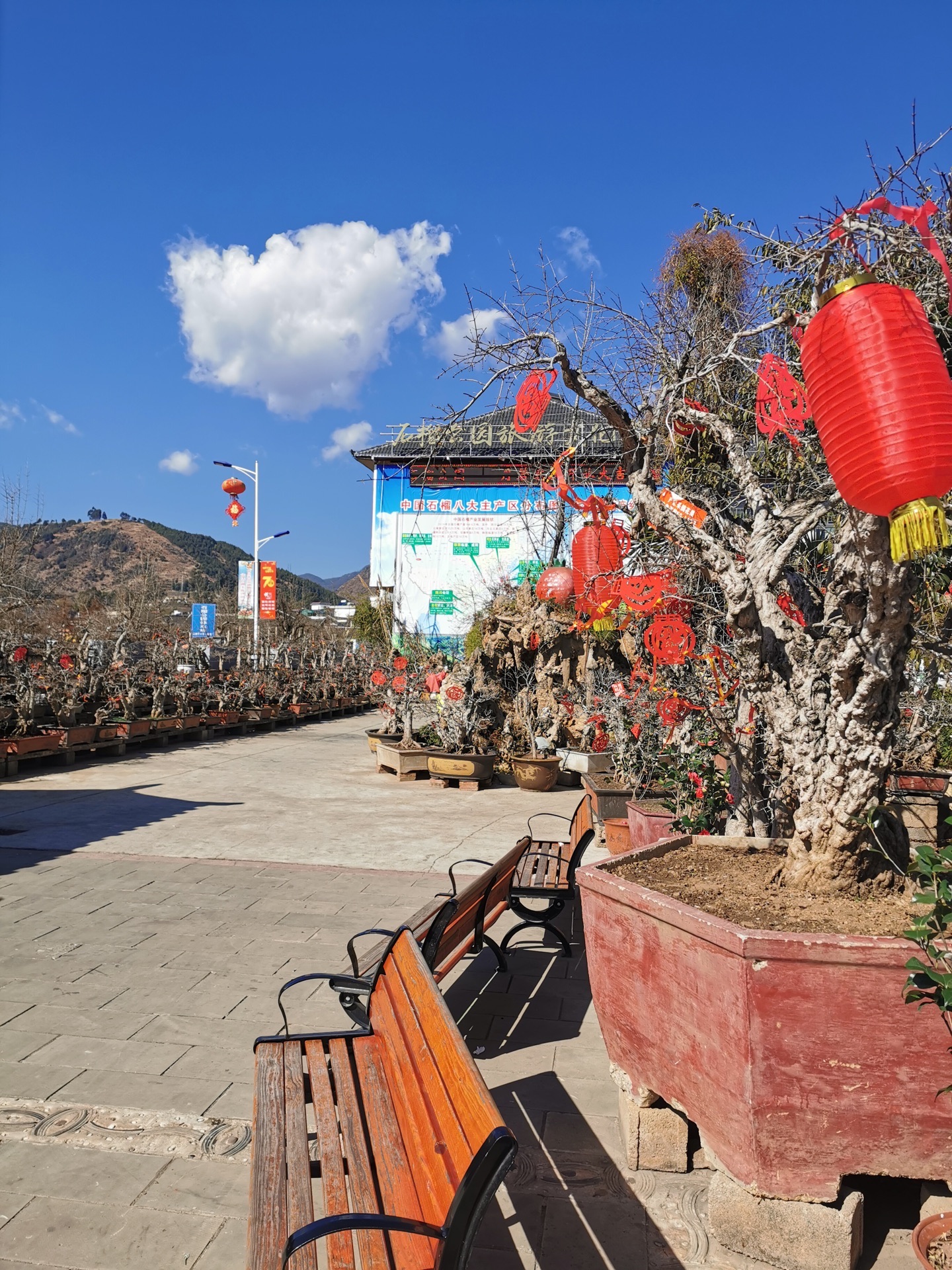 会理西岭泉琴攻略-西岭泉琴门票价格多少钱-团购票价预定优惠-景点