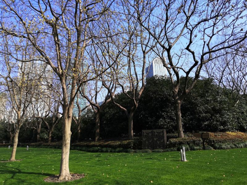 上海天目公园攻略-天目公园门票价格多少钱-团购票价预定优惠-景点