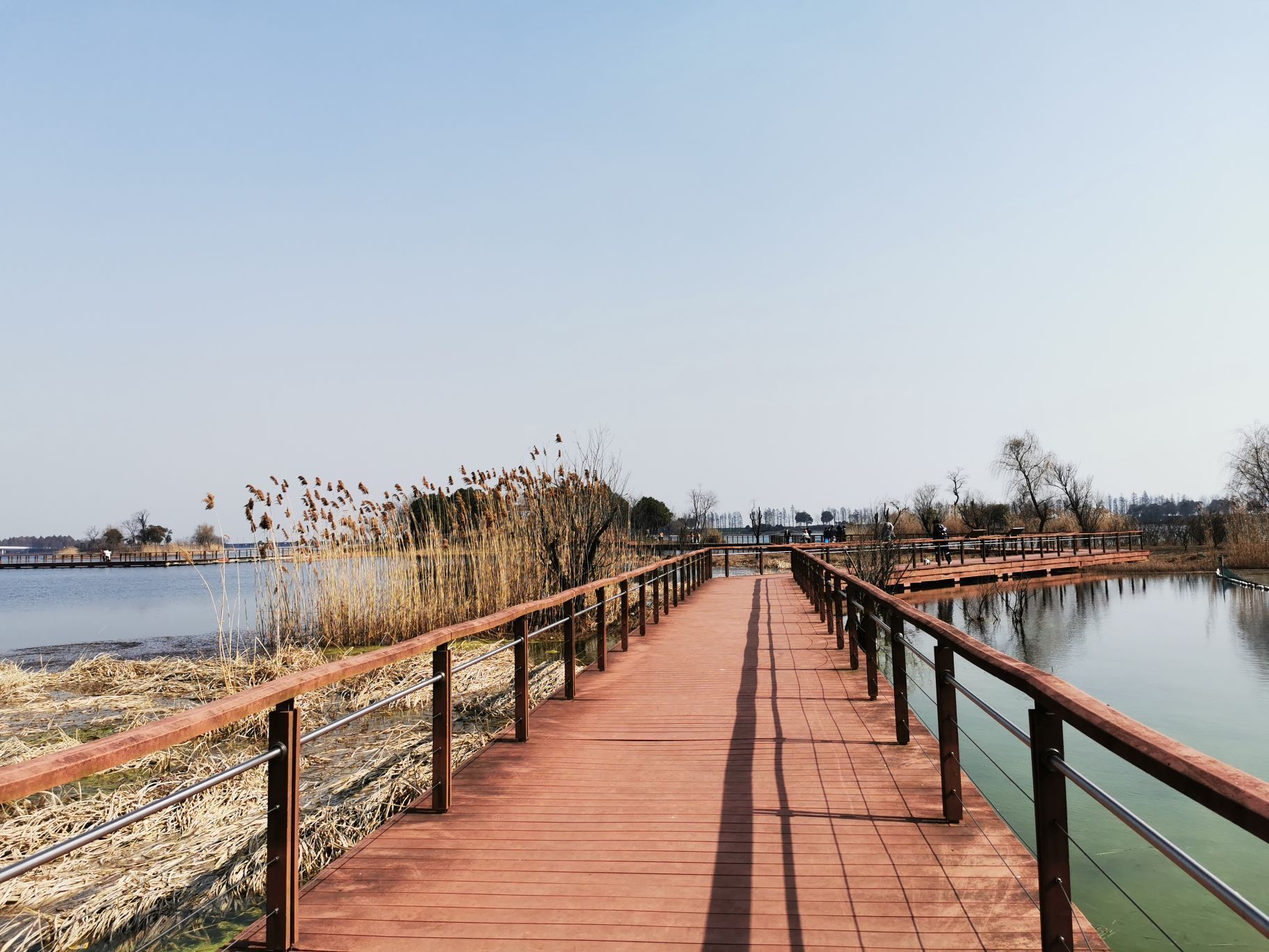 貢湖灣燒烤樂園