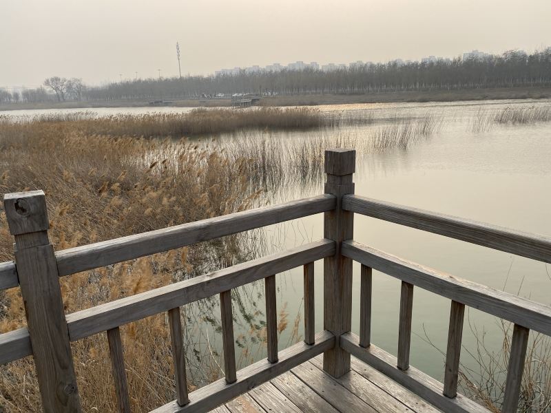 东丽湖生态健身公园