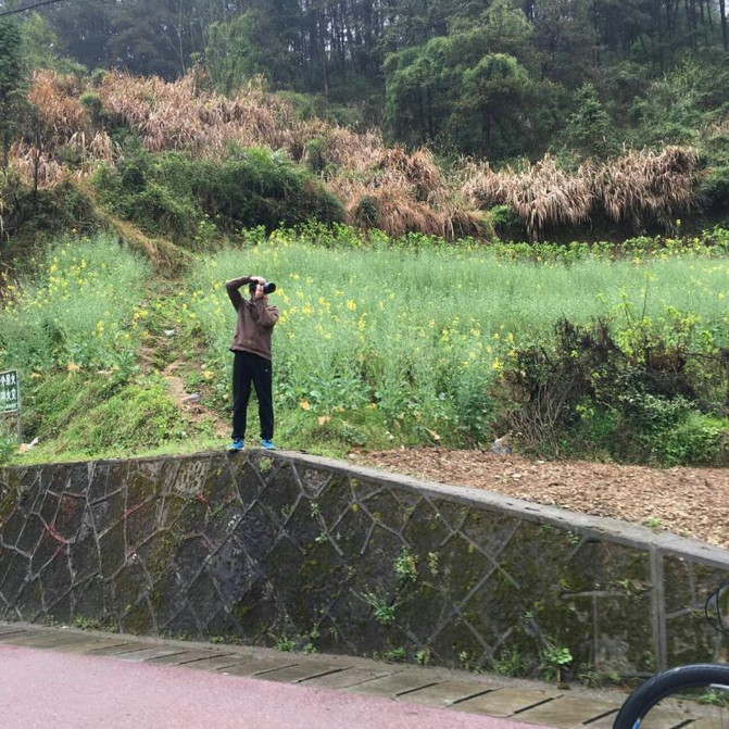 千岛湖骑行攻略