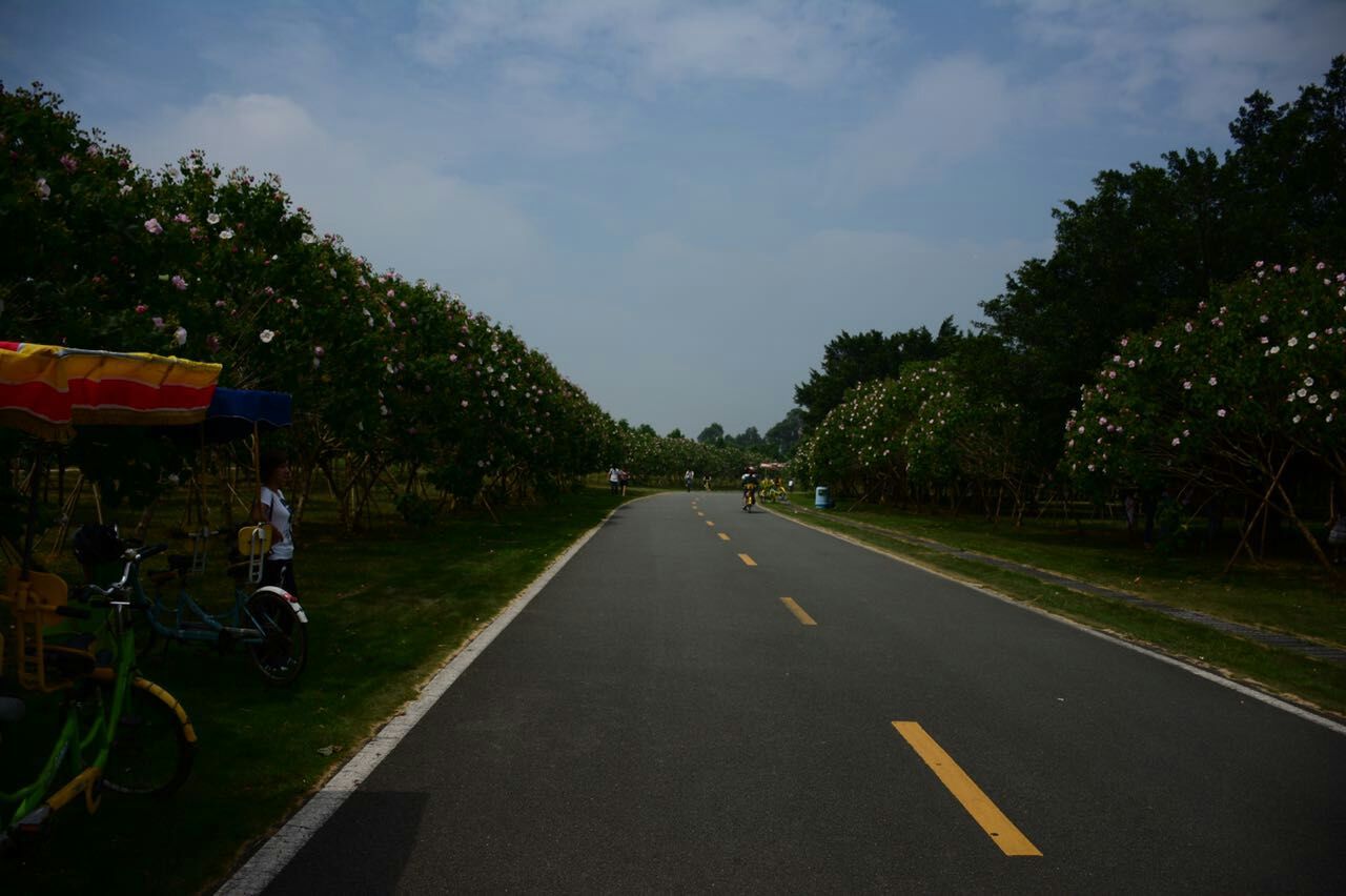 松湖蝶恋生态园