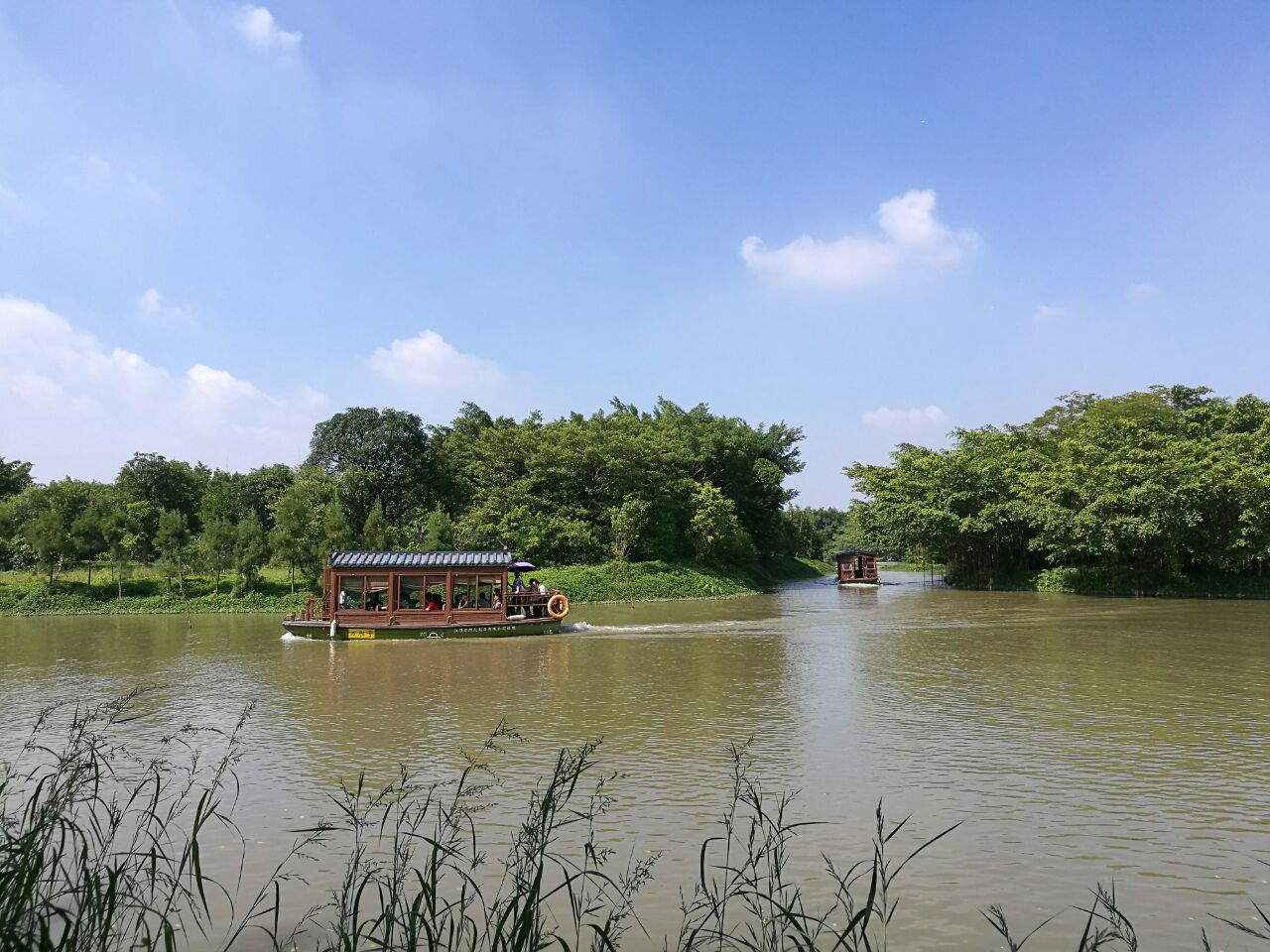 江門小鳥天堂好玩嗎,江門小鳥天堂景點怎麼樣_點評_評價【攜程攻略】