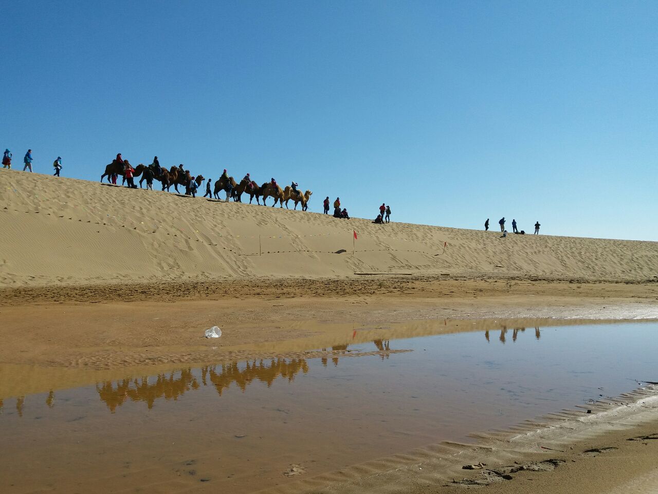 额济纳旗八道桥好玩吗,额济纳旗八道桥景点怎么样_点评_评价【携程