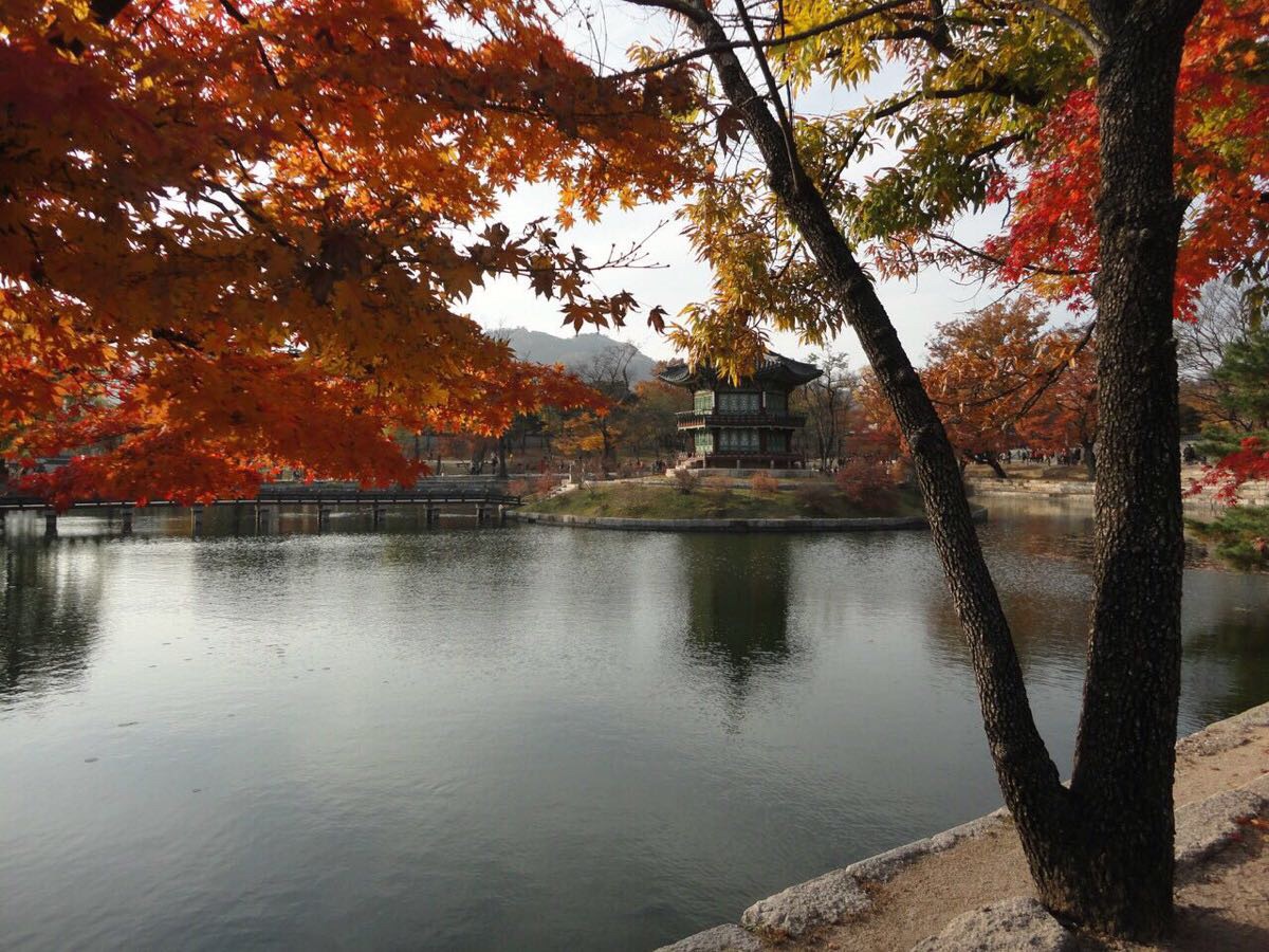 2023乌竹轩-旅游攻略-门票-地址-问答-游记点评,江