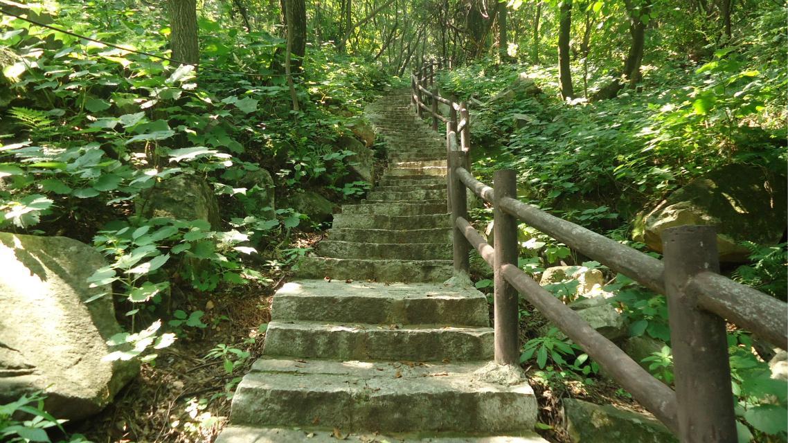 素有武当伯仲,中原屋脊,森林公园,道教圣地的称号;位于河南,山西,陕西