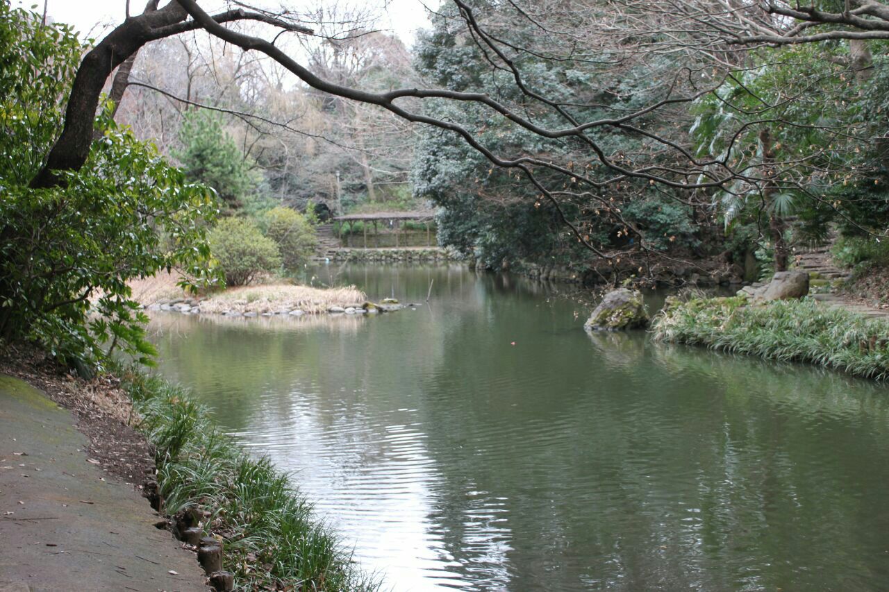 東京大學