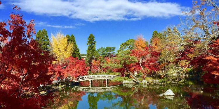 日本关西6日红叶之旅 岚山 大阪 京都 奈良的美秋 泉佐野市游记攻略 携程攻略