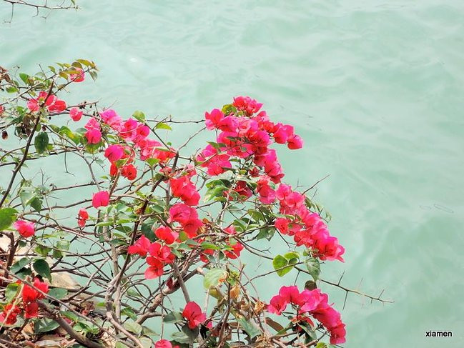 不是美景蓝天而是阴雨绵绵