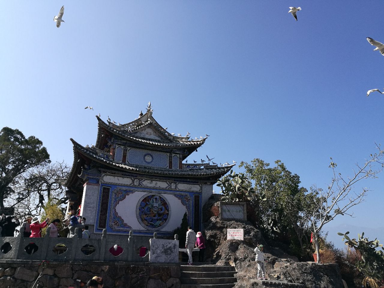 2019小普陀_旅游攻略_门票_地址_游记点评,大理旅游景点推荐 - 去哪儿