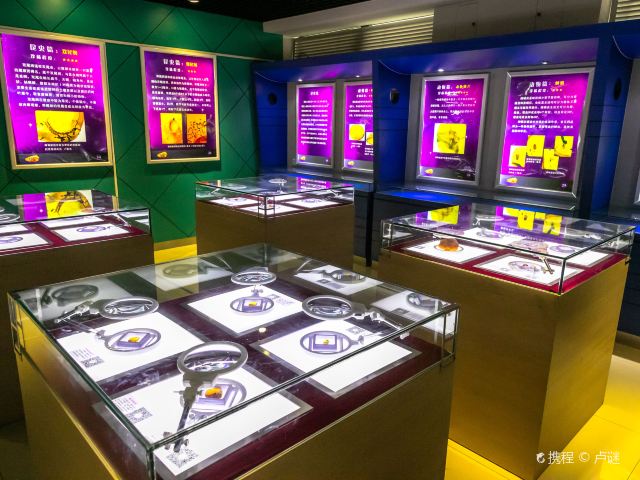 上海昆虫博物馆