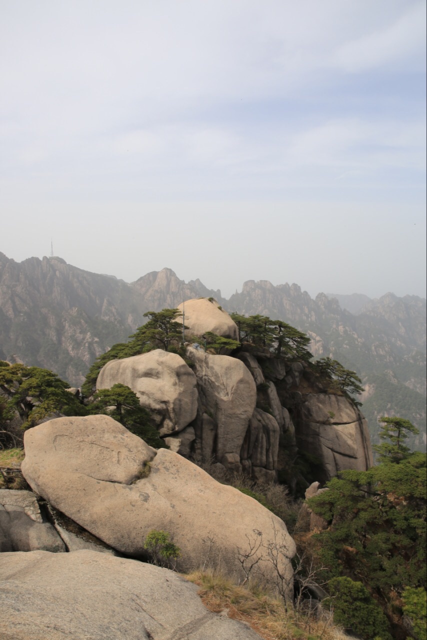 天都峰的海拔为1810米,为黄山三大主峰(莲花峰1864米,天都峰,光明顶