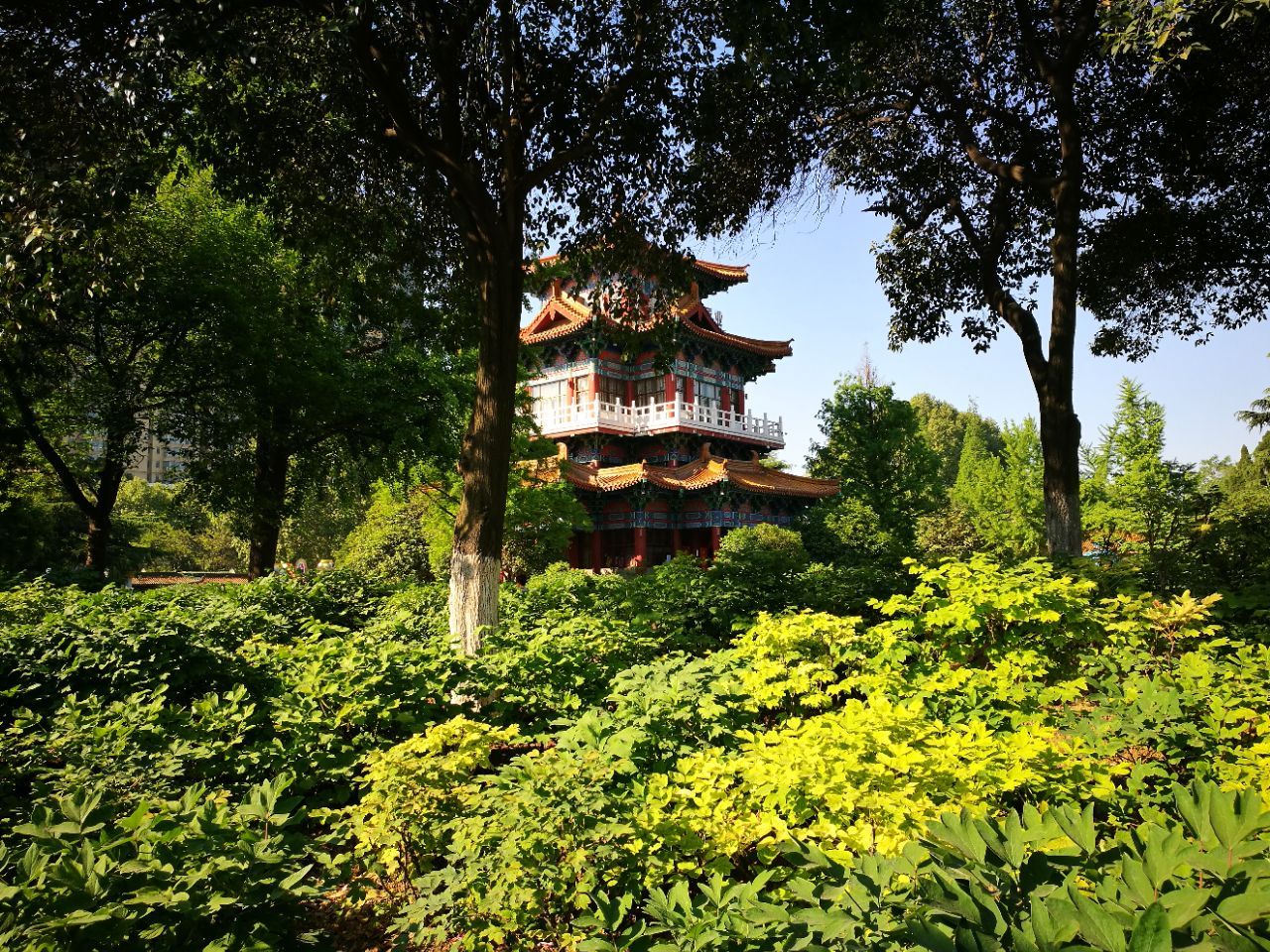洛阳王城公园游览图图片