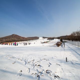 劳动公园滑雪场电话图片