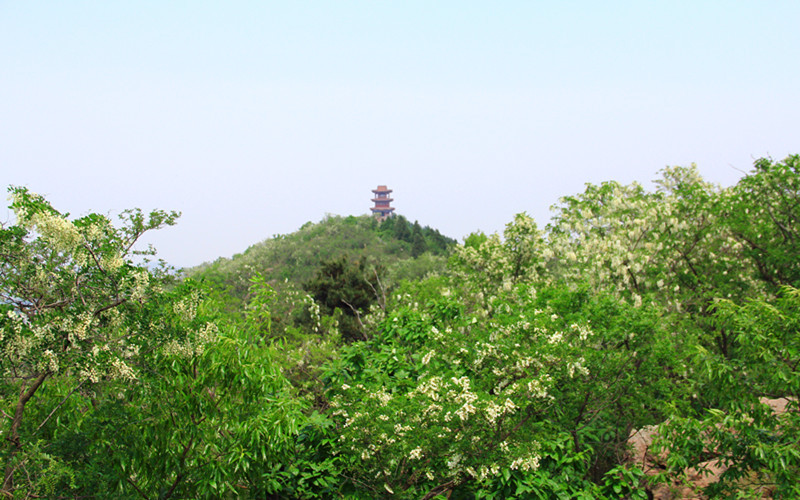 那一年,遊走山東,莒南自駕自由行【莒南天佛風景名勝區,臥佛寺,山東省