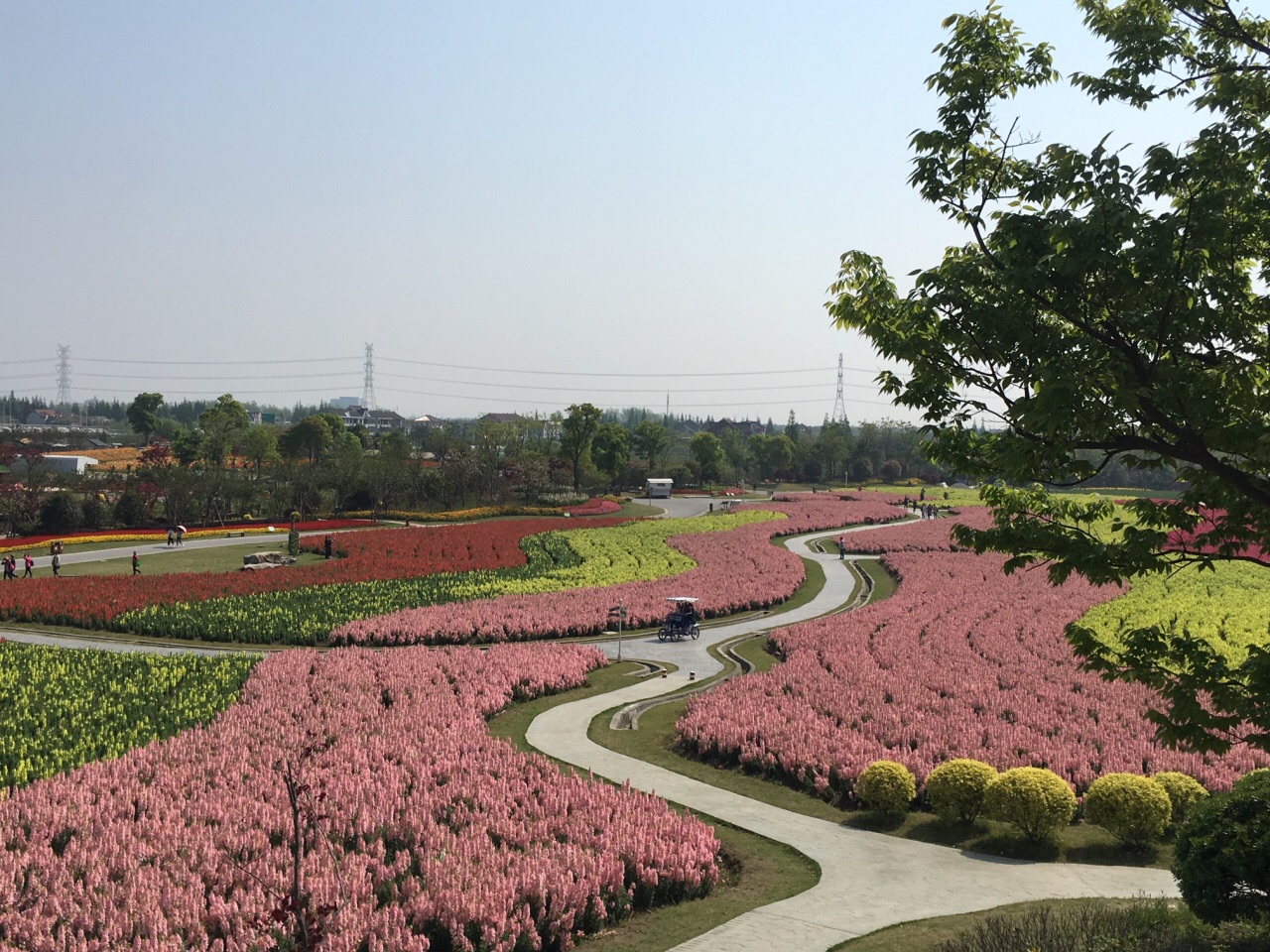 2019周浦花海