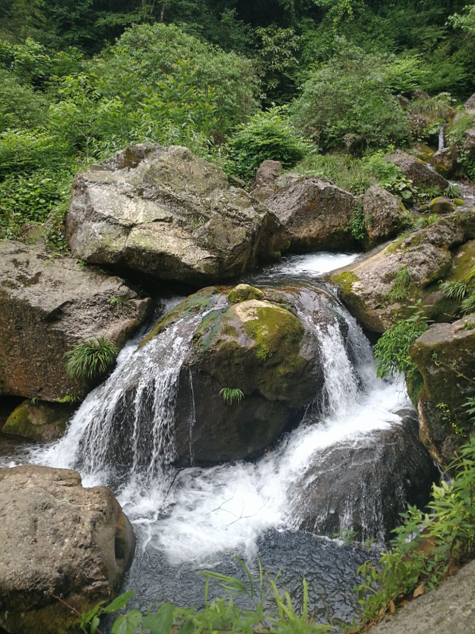 青城山青城後山好玩嗎,青城山青城後山景點怎麼樣_點評_評價【攜程