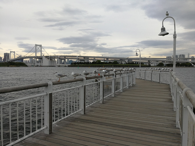 如何偶遇?日本的AV和动漫为何繁荣?不懂日语