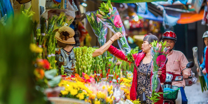 思憶明鄉訴燈語,蓮花吟葬法蘭西