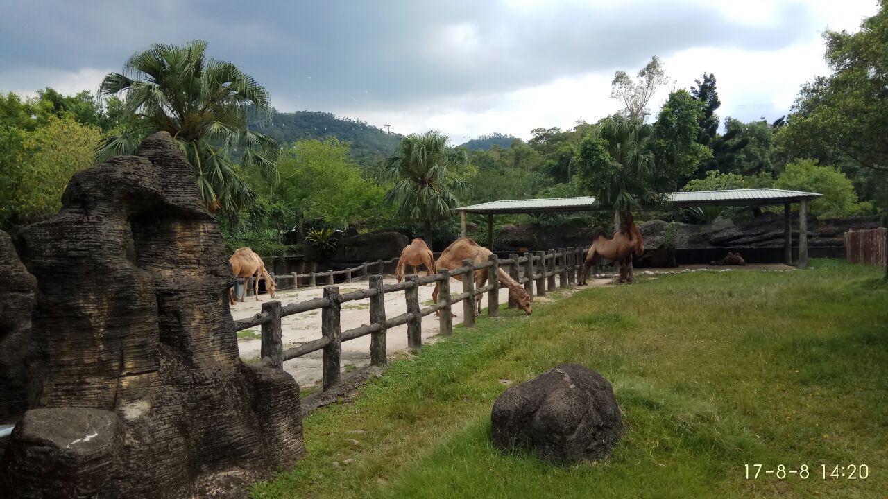 台北市立动物园