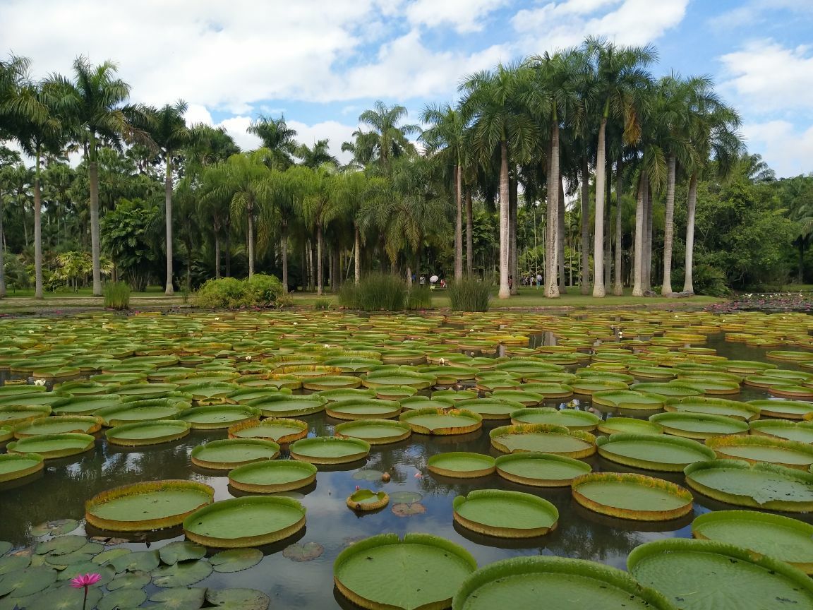 中科院西雙版納熱帶植物園