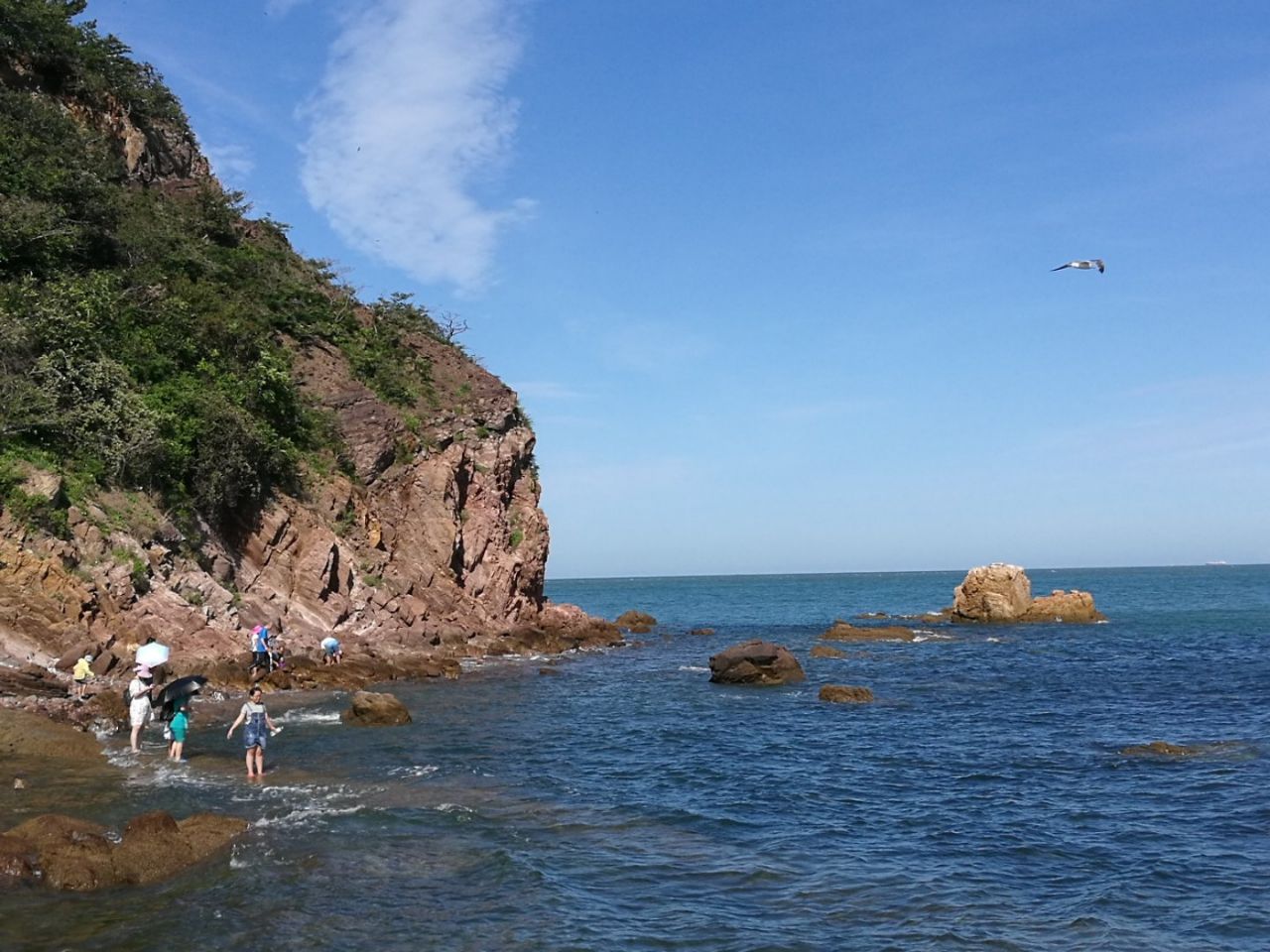 榮成雞鳴島好玩嗎,榮成雞鳴島景點怎麼樣_點評_評價【攜程攻略】