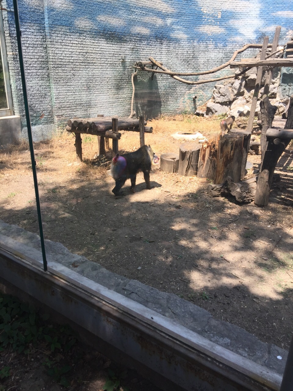 北京動物園