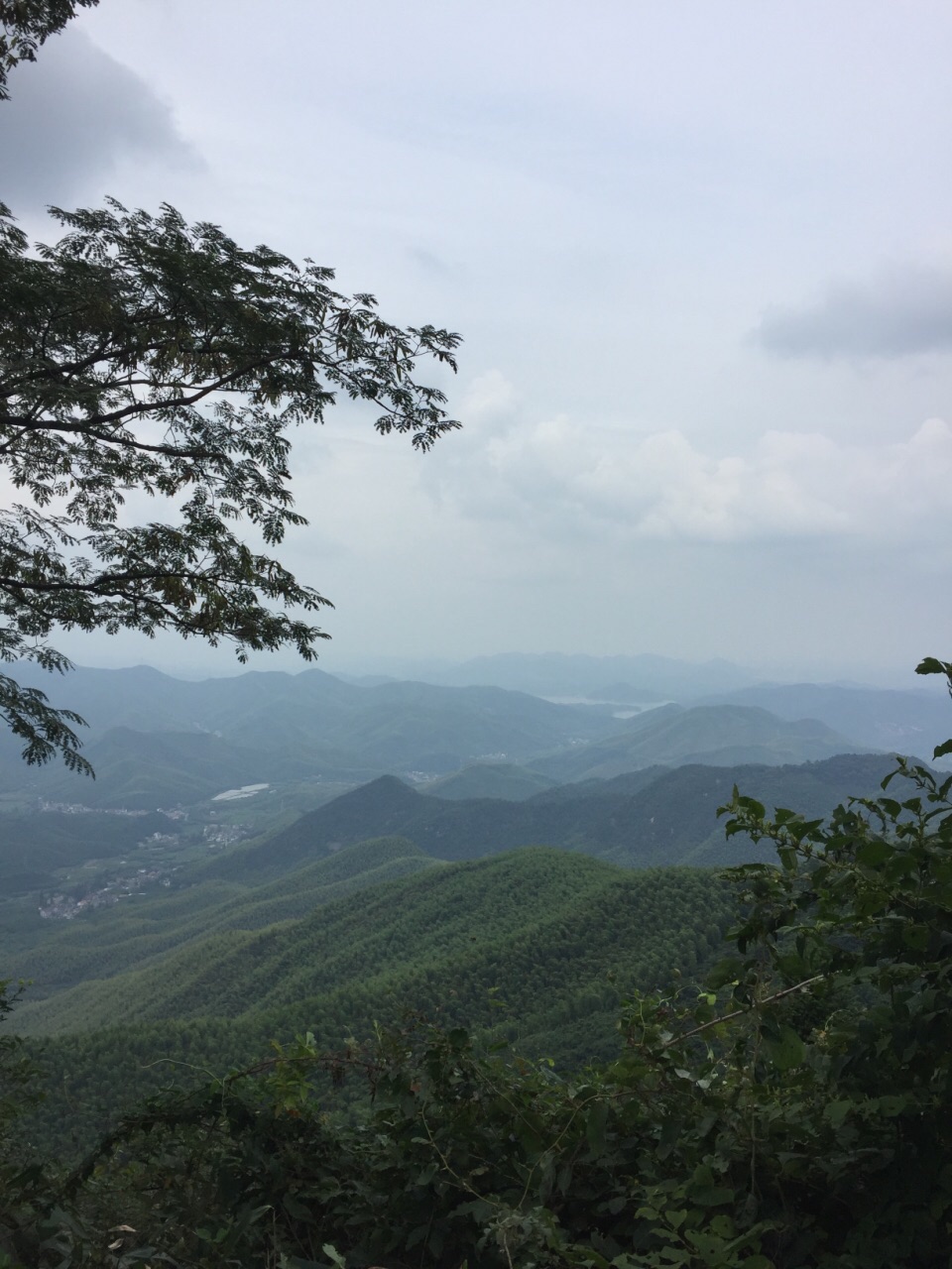 莫干山大坑景区图片图片