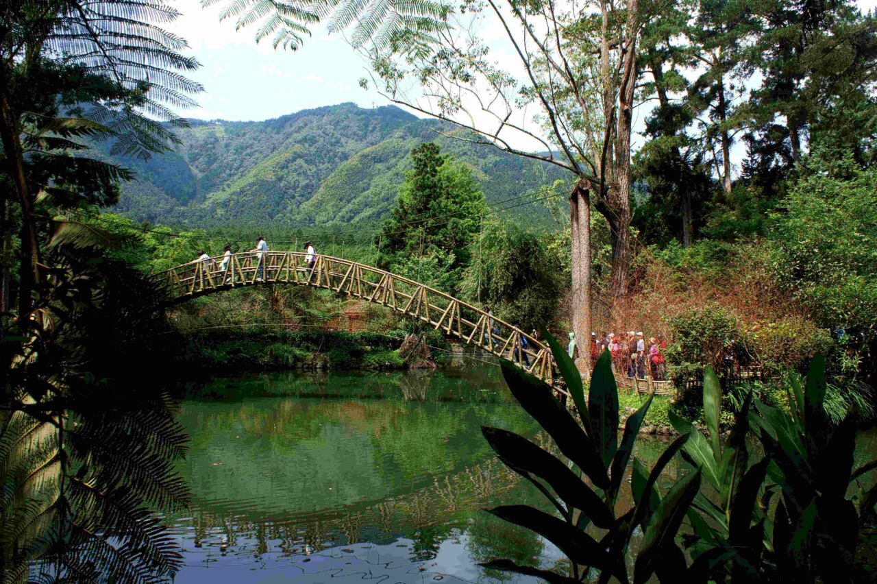 阿里山國家風景區