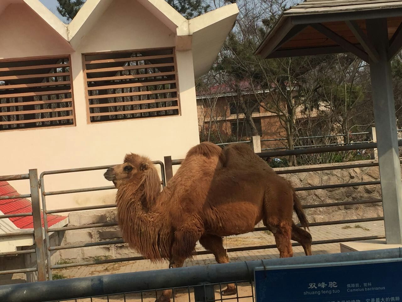 青岛动物园