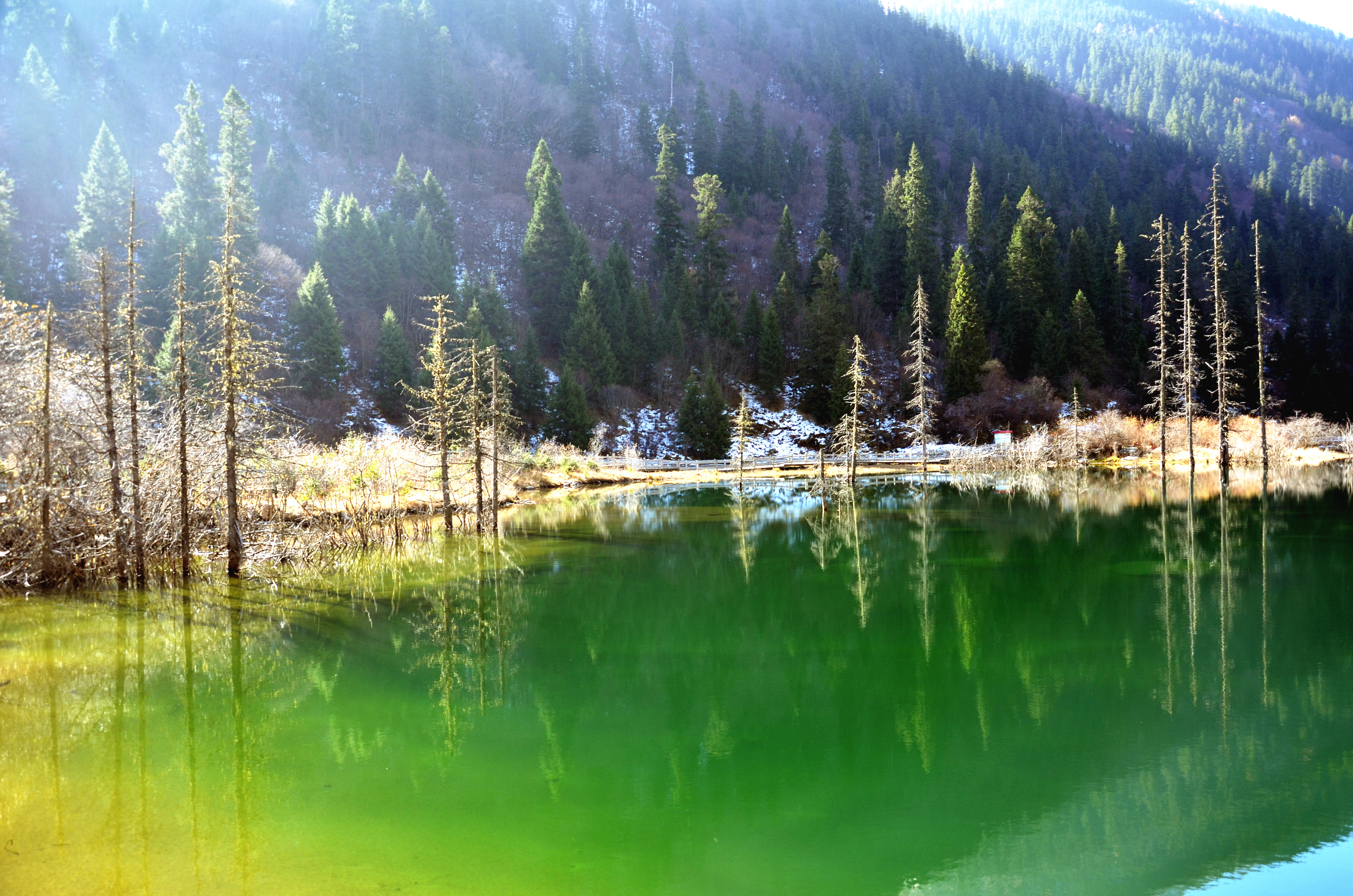 黑水縣旅遊旅遊景點推薦-去哪兒攻略