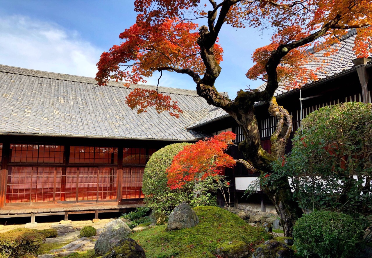 醍醐寺