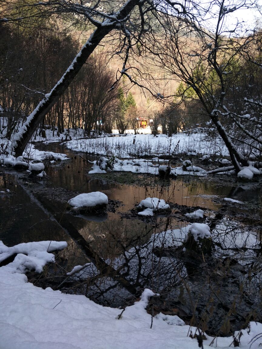 松坪沟雪景图片