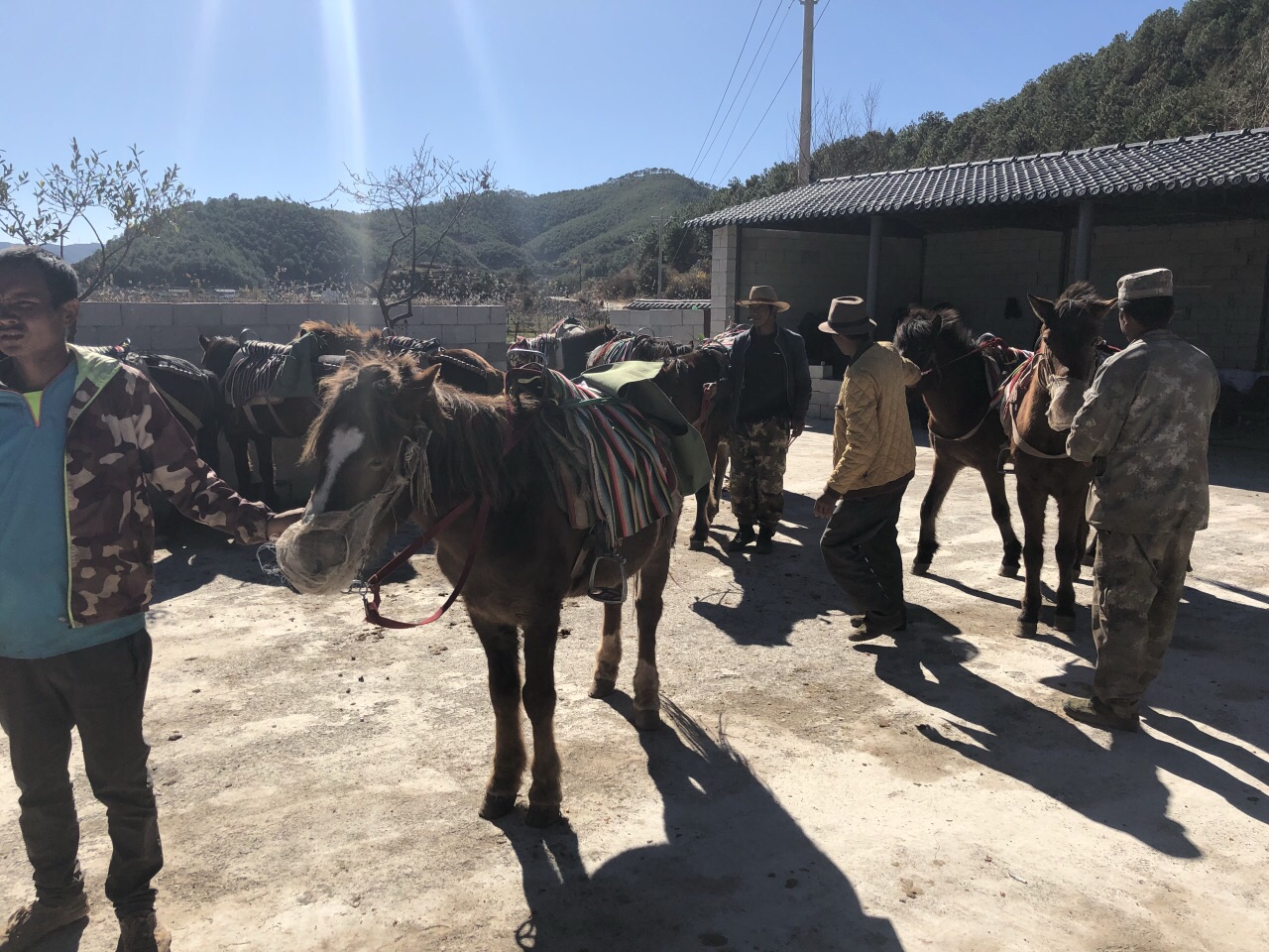 讓後去騎馬,走了一把茶馬古道,馬兒辛苦了,馬伕也挺有意思的,讓後回到