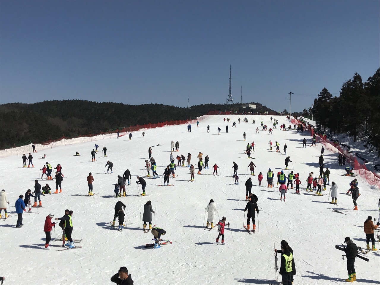 劳动公园滑雪场电话图片