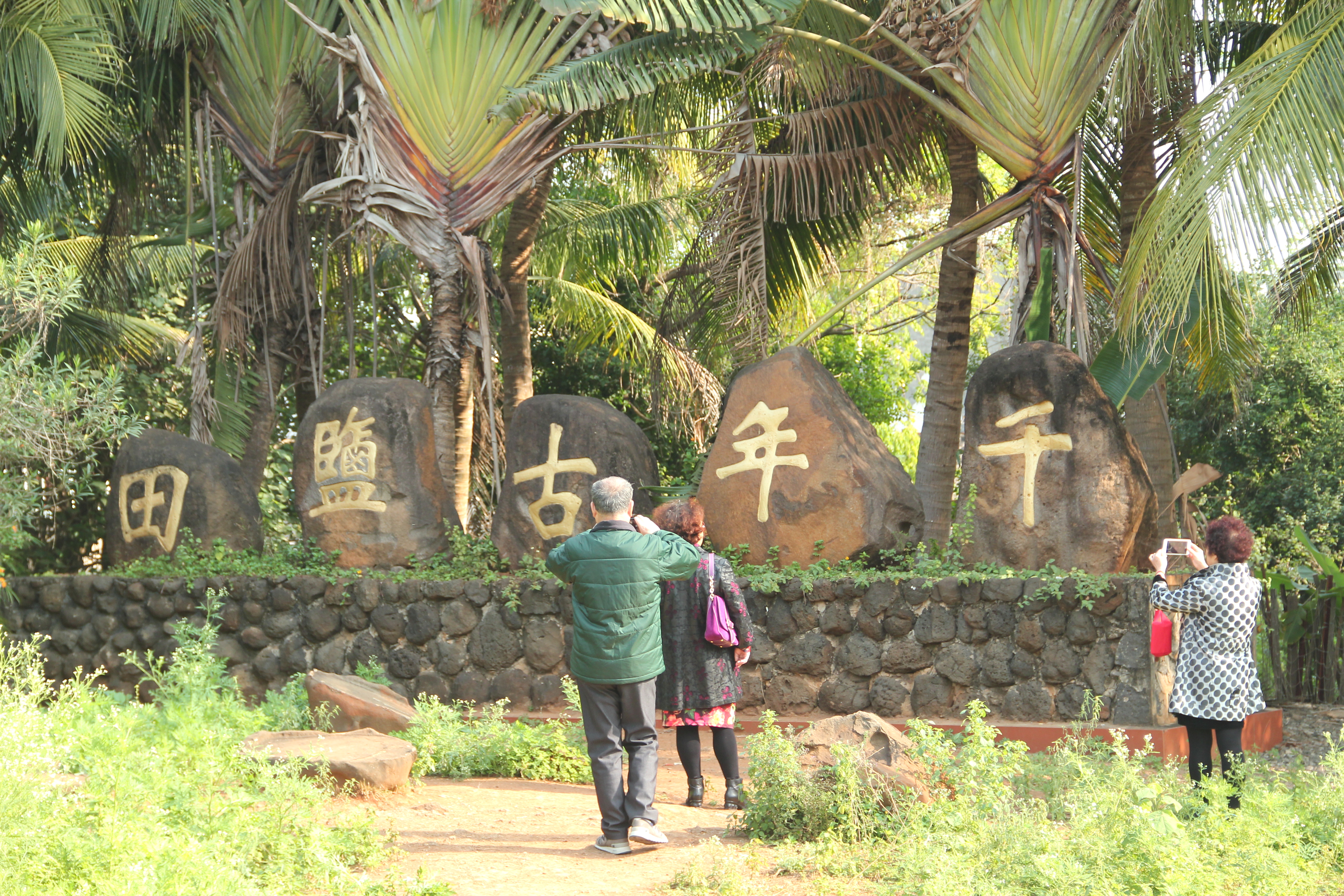 儋州千年古鹽田旅遊景點攻略圖