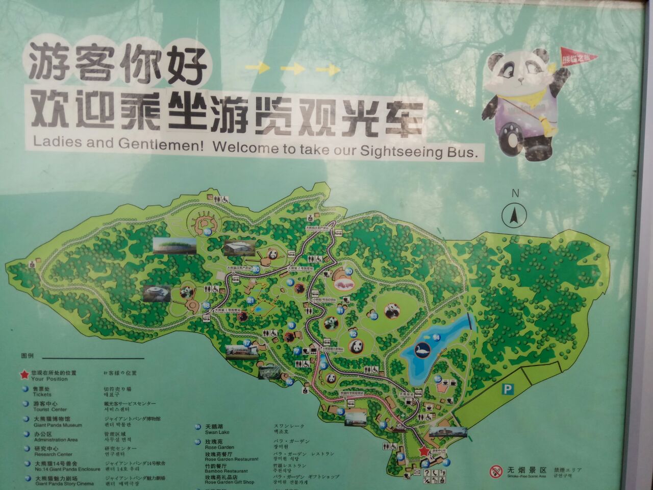 都江堰熊猫基地地图图片