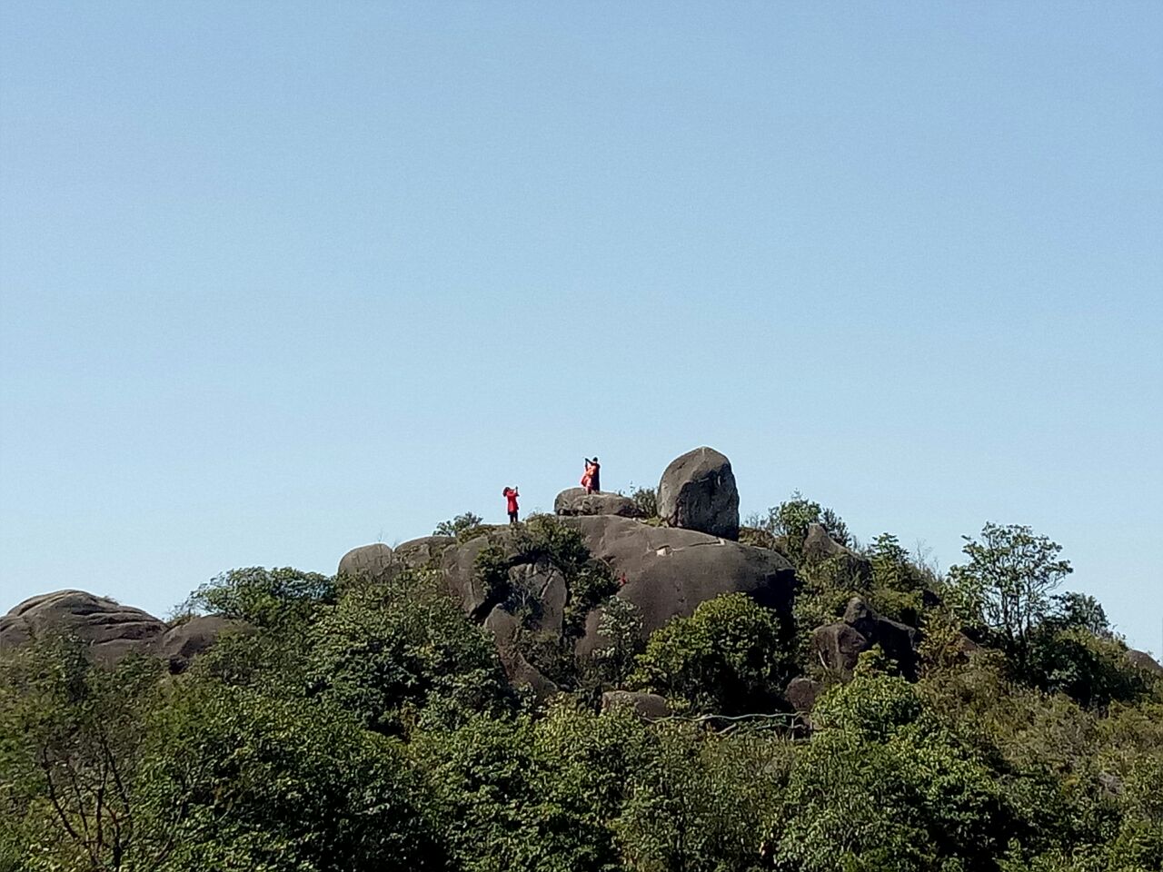 上杭梅花山(中國虎園)好玩嗎,上杭梅花山(中國虎園)景點怎麼樣_點評