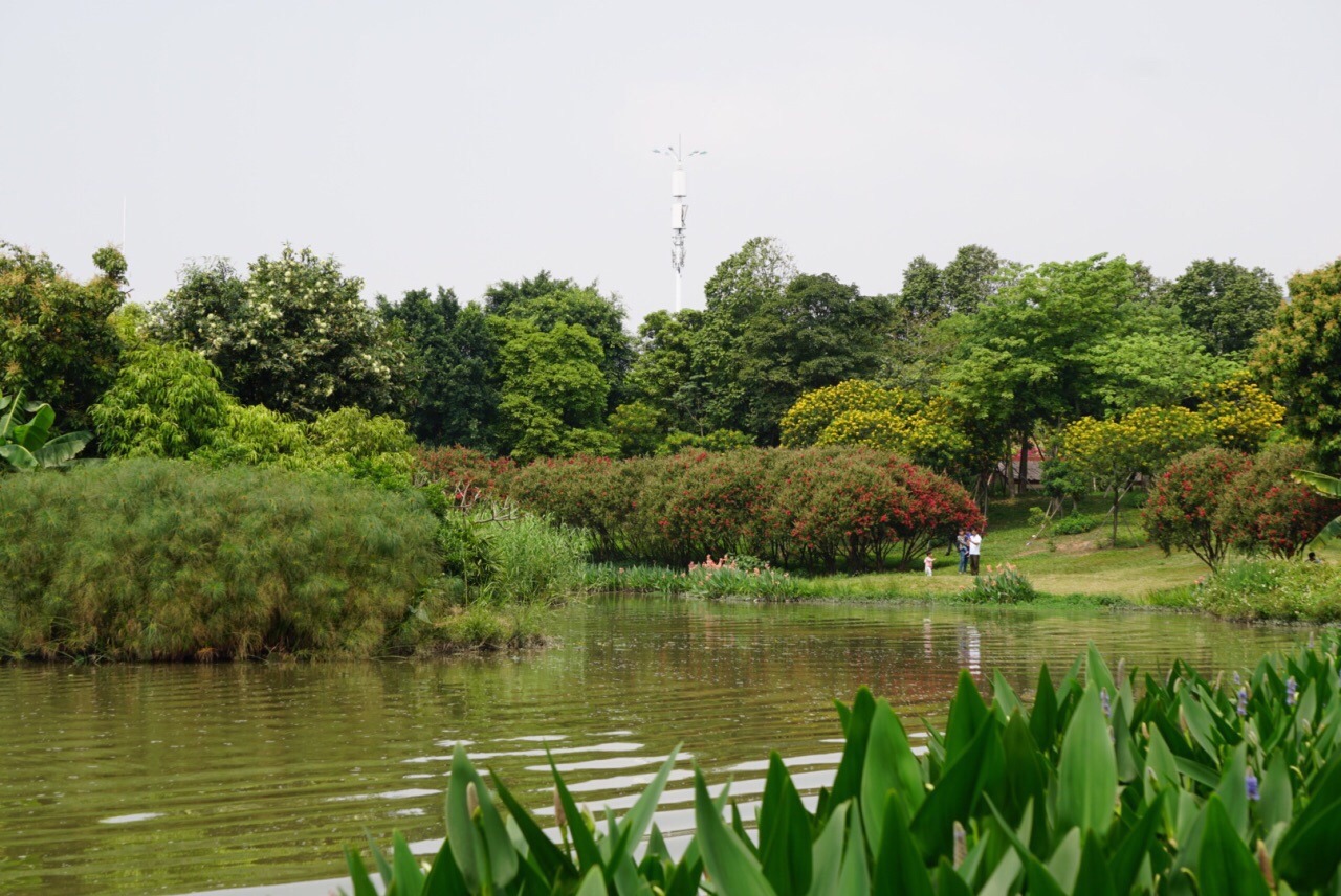 广州海珠国家湿地公园文化活动