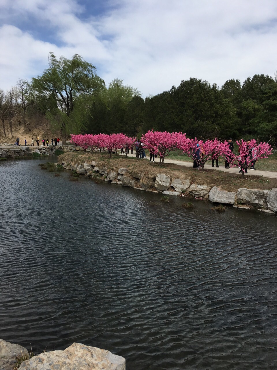 圆明园内部景观图片