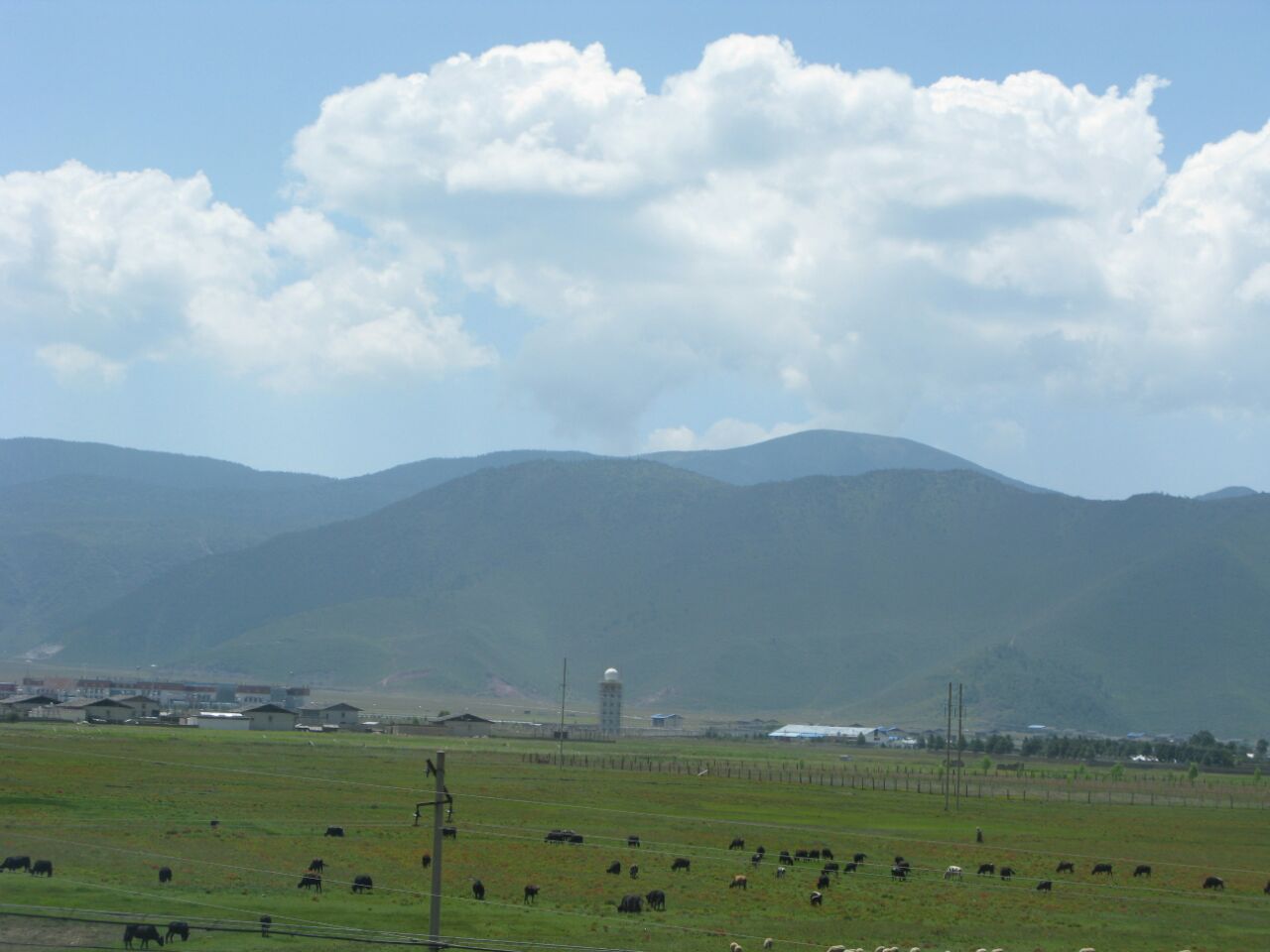 香格里拉大草原