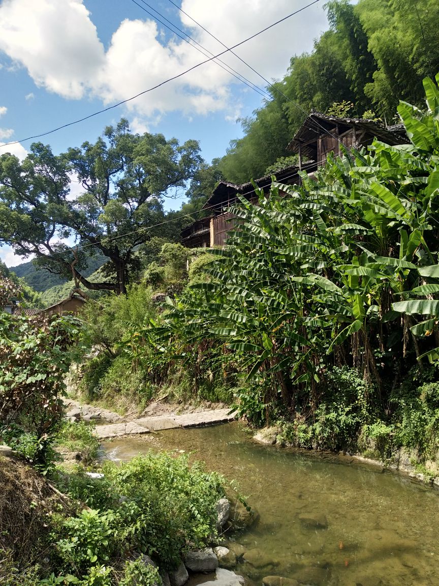 小港漂流图片