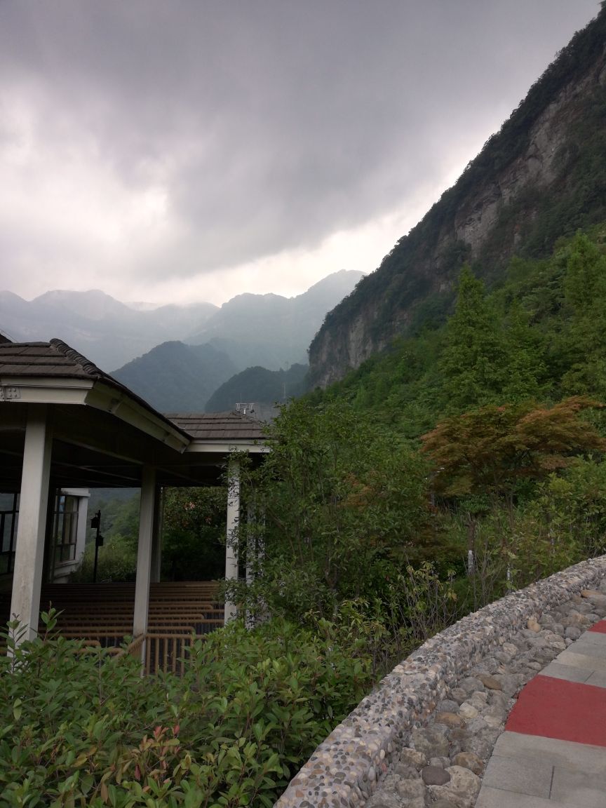 南川金佛山旅游攻略(南川金佛山旅游攻略玩耍景点)