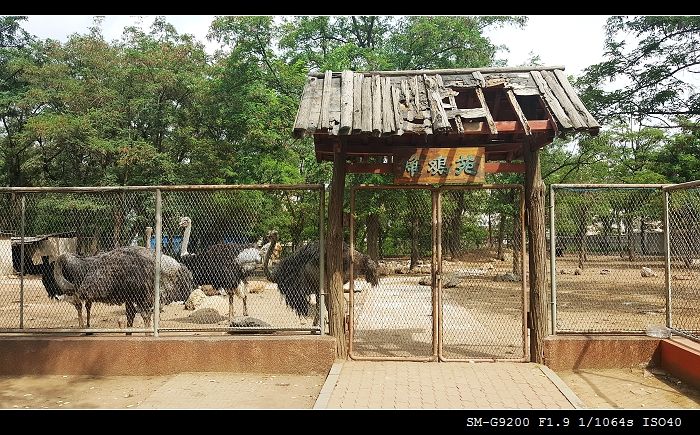 锦州动物园图片图片