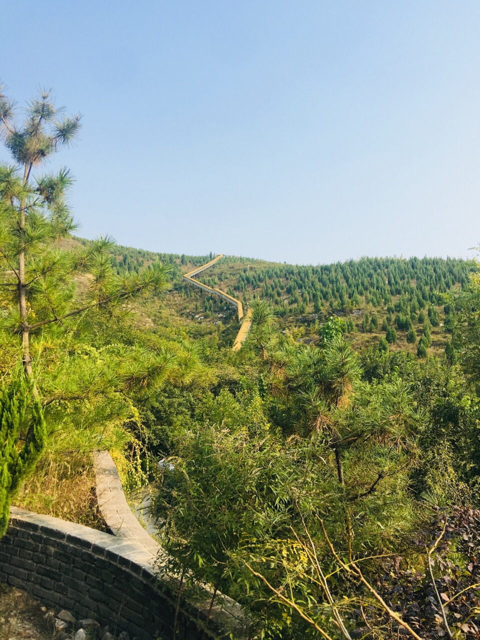 大石崮森林公园图片图片