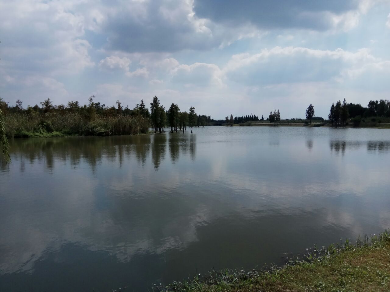 每日一景|山东潍坊：秀美巨淀湖 自然好风光 - 知乎