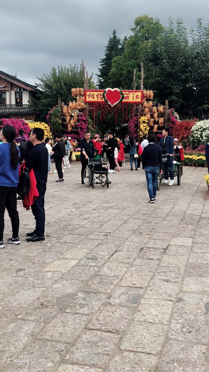 2022丽江市市政广场游玩攻略,值得一去的地方,景色优美鸟.