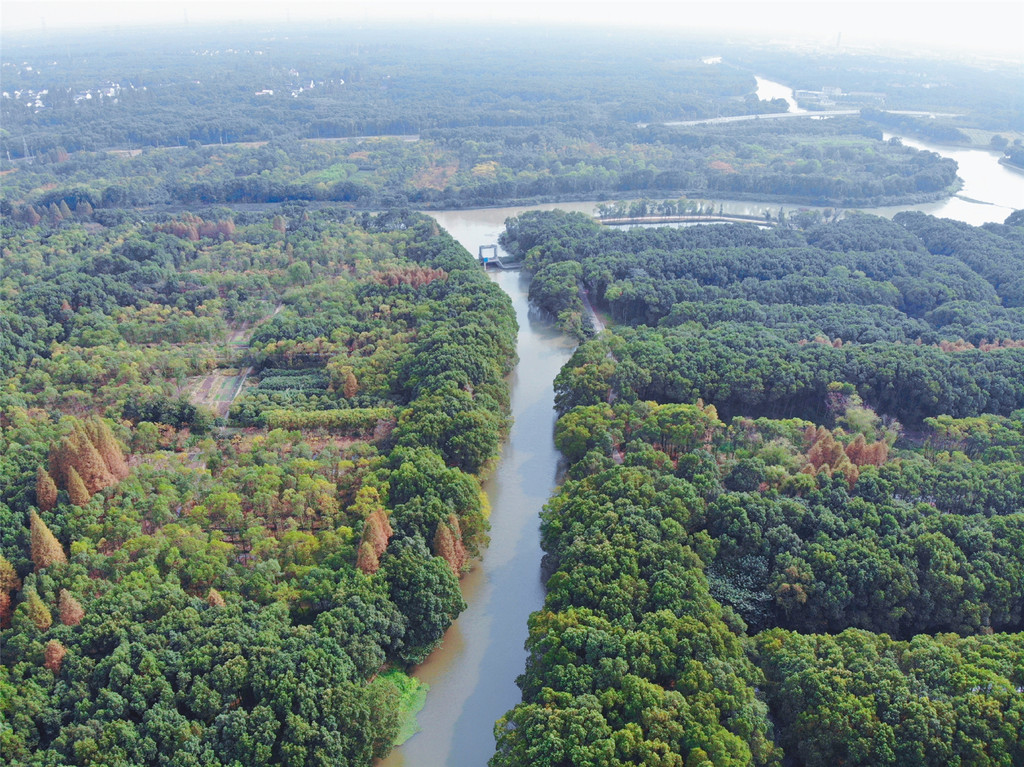 藏匿在江南水乡中的林海天池,堪称吴江的天然氧吧