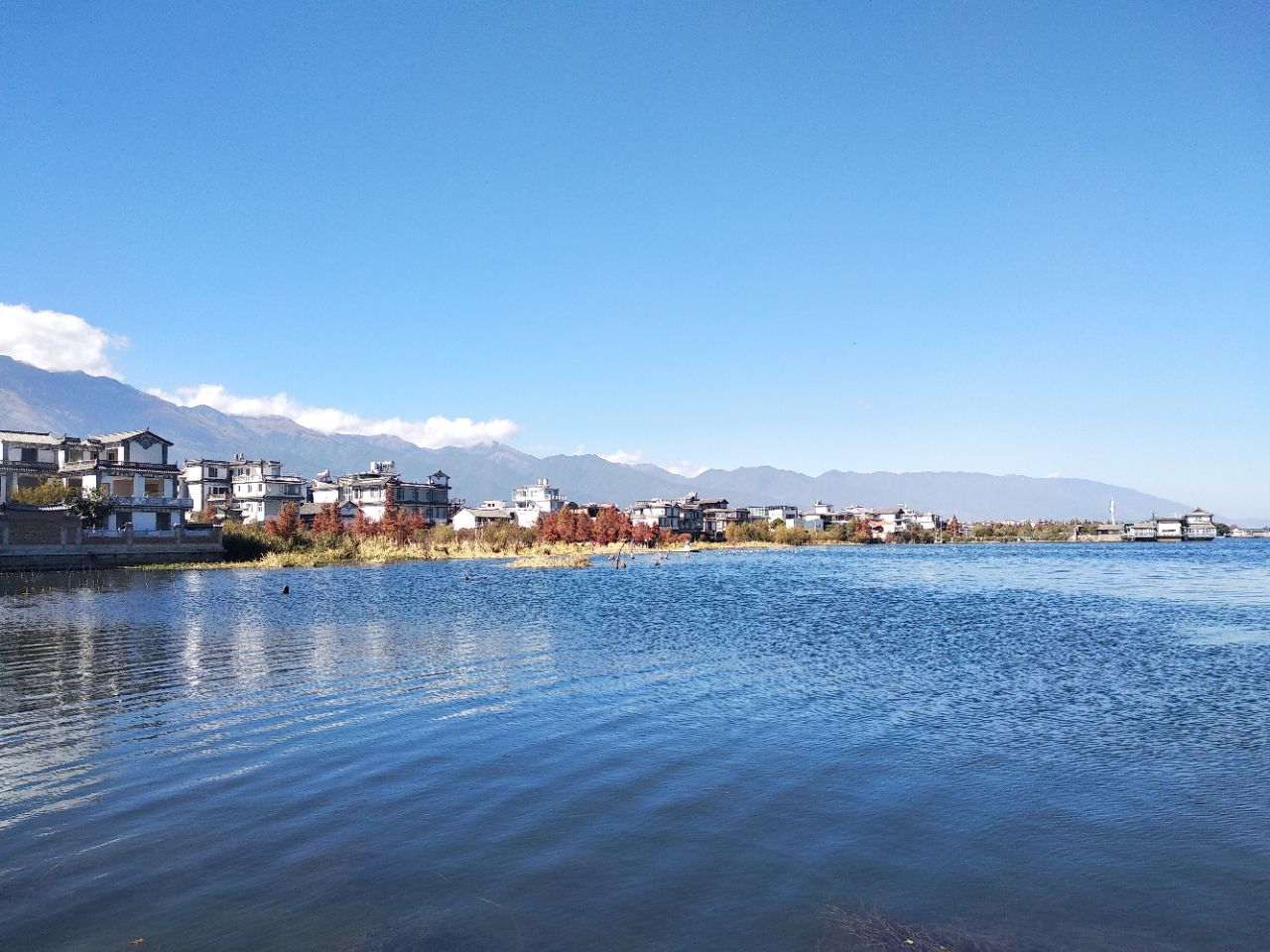 2019才村溼地公園遊玩攻略,非常值得~只是在拆一些違建客.